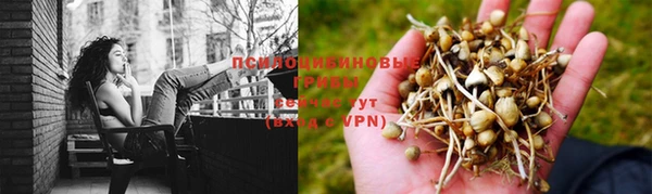 крисы Верхний Тагил