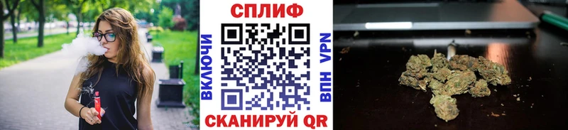 Каннабис ГИДРОПОН  закладка  Снежинск 